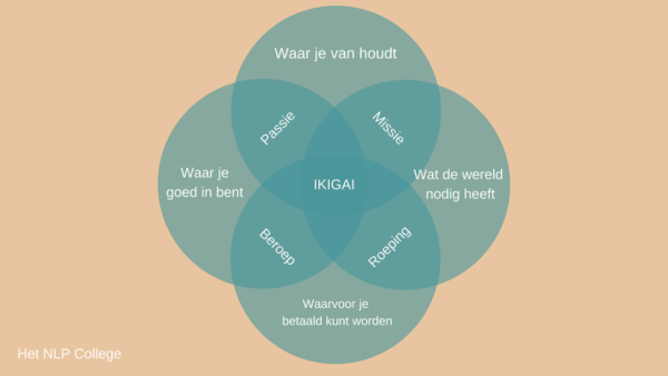 Wat wil ik met mijn leven? (Ik weet niet wat ik wil) [8 tips] - #1