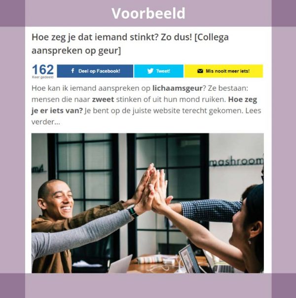 Goede Artikelen Schrijven, Hoe? Stappenplan, layout & 14 schrijftips