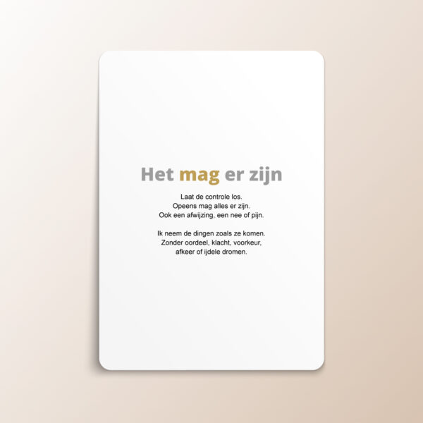 Inzichtkaarten: Nederlandstalige Inzichtkaarten Voor Een Nieuw Perspectief Op Ieder Probleem - Afbeelding 14